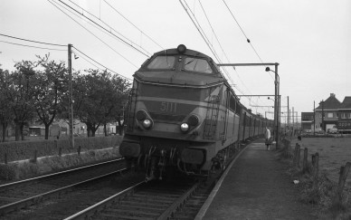 Droeshout - DIEU F0442 (1).jpg
